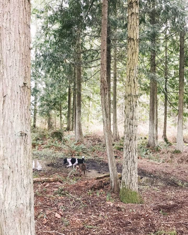 Robin May Flemingのインスタグラム：「Hi. Love you all. Here's Peggy teaching her friend Hazel last week that mud puddles can be LOTS of fun. ✨ If you're feeling overwhelmed right now, pause your scrolling, push back your shoulders, find a patch of sky, lock your eyes on it, and breathe. We're in this together. xo.」
