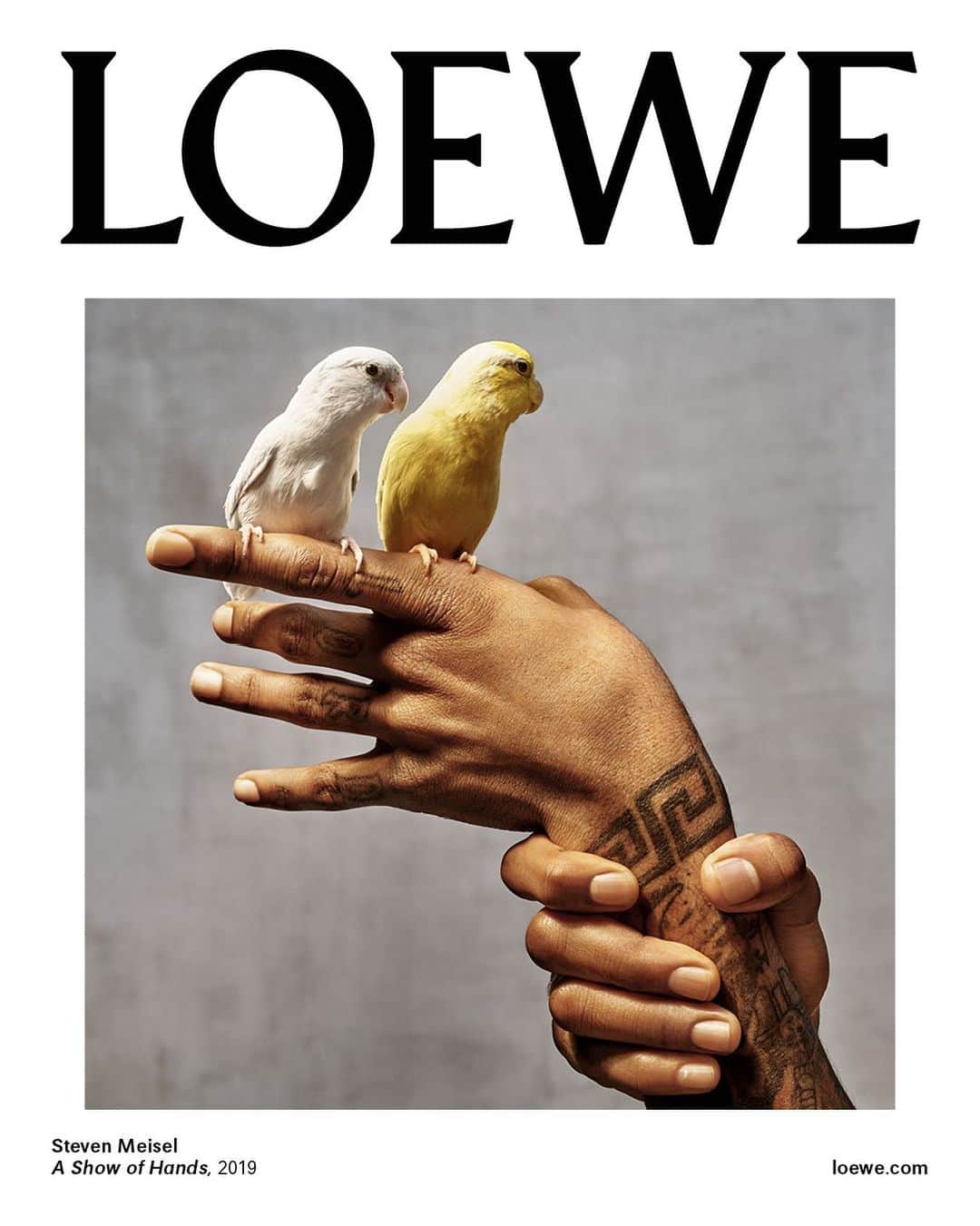 Loeweさんのインスタグラム写真 - (LoeweInstagram)「A series of hands places the onus of interpretation upon the viewer, as part of our campaign for Spring Summer 2020.  Taken from ‘A Show of Hands’ by #StevenMeisel.  Creative direction @Jonathan.Anderson and @MMparisdotcom Photography #StevenMeisel Styling by @BenjaminBruno_ Make up by @PatMcGrathreal Set Design by @MaryHoward_SetDesign Casting by @AshleyBrokaw  #LOEWE #LOEWESS20」3月16日 4時52分 - loewe