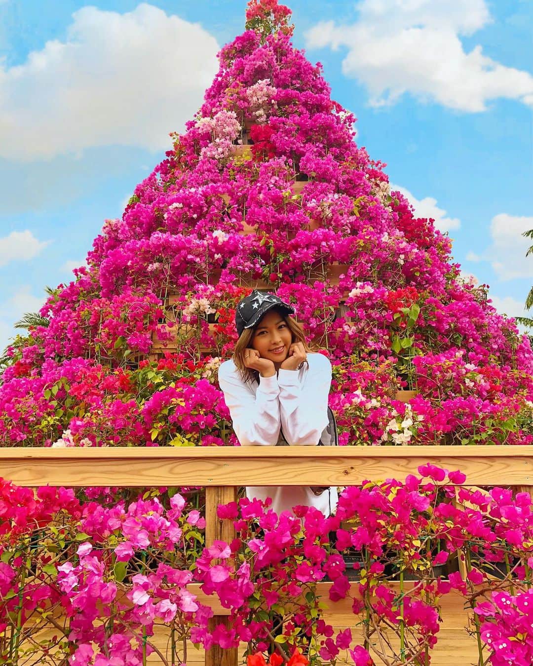 あおい夏海のグルメインスタ
