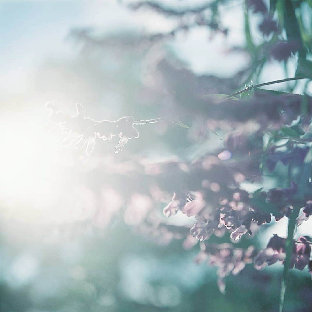 izumi_60のインスタグラム：「2020│03│16│Monday│08:00 . おはようございます . 在宅勤務を駆使しながらの２週間。オフィスに出勤したりしなかったりがイレギュラーすぎて、曜日感覚がおかしくなりそう🌀  子どもたちも、今日何曜日だっけ？が口ぐせになってます🌀 . .」