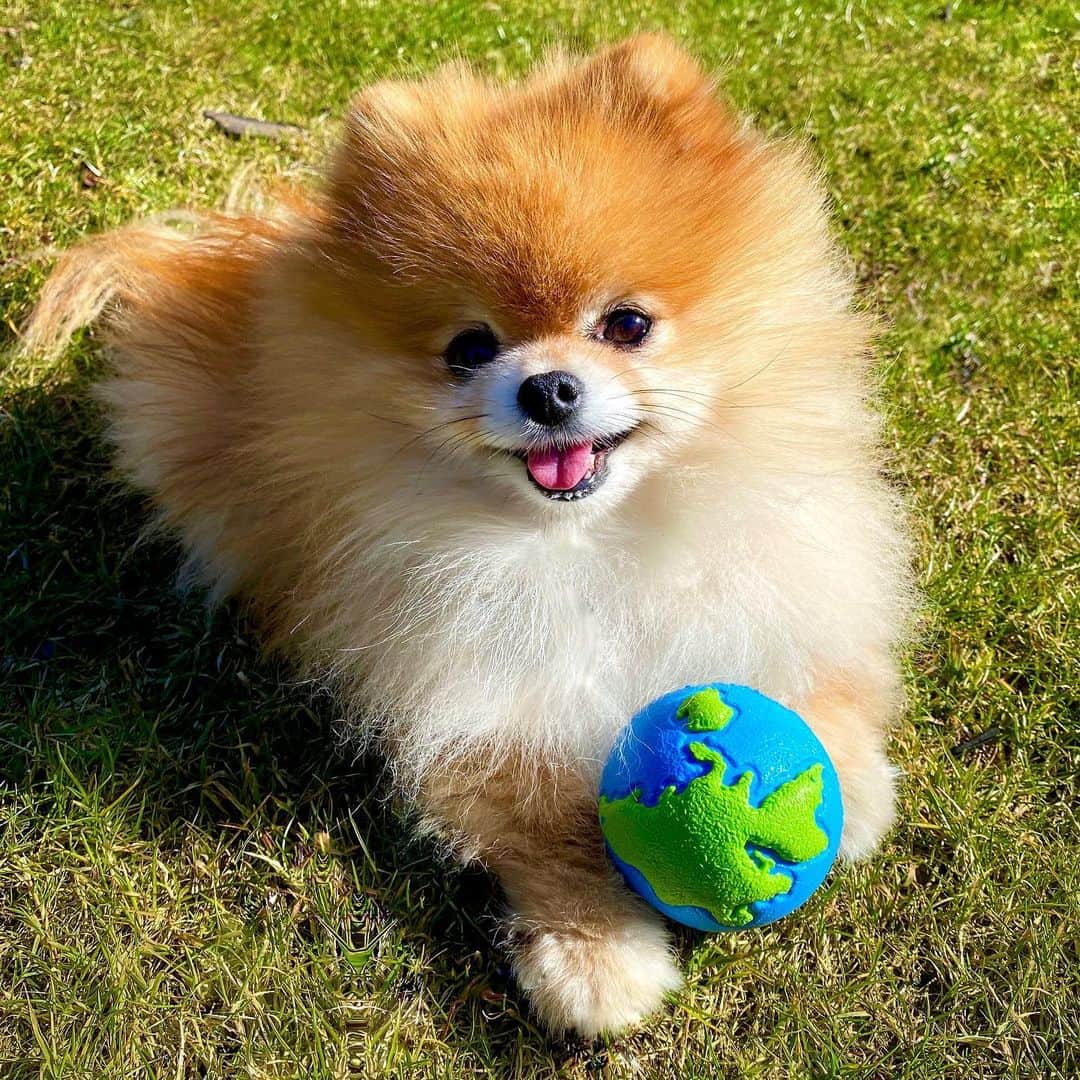 のインスタグラム：「Praying for the world🙏🏻🌍Thinking of all our friends throughout the globe💚💙hoping everyone stays safe and healthy🙌🏻We love you all!🥰」