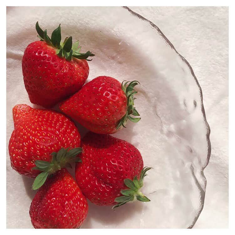 金城茉奈のインスタグラム：「大きくて真っ赤な、とちおとめ🍓 苺狩りいってみたいなぁ。 #苺#朝食#おはようございます」