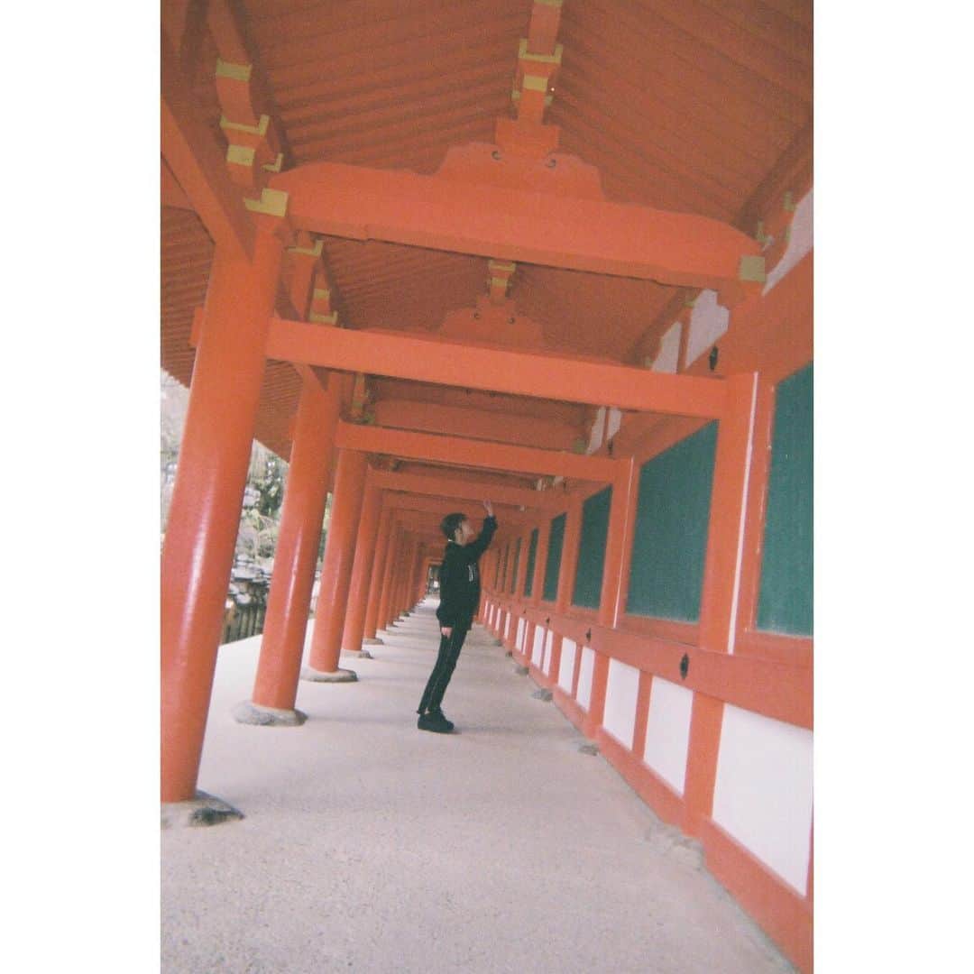 中野恵那さんのインスタグラム写真 - (中野恵那Instagram)「#film が現像できました。 ハマりそうな予感でしかない🦔  みんないっつも写真撮る時 なにで撮ってるの〜？？」3月16日 10時27分 - nakano.ena