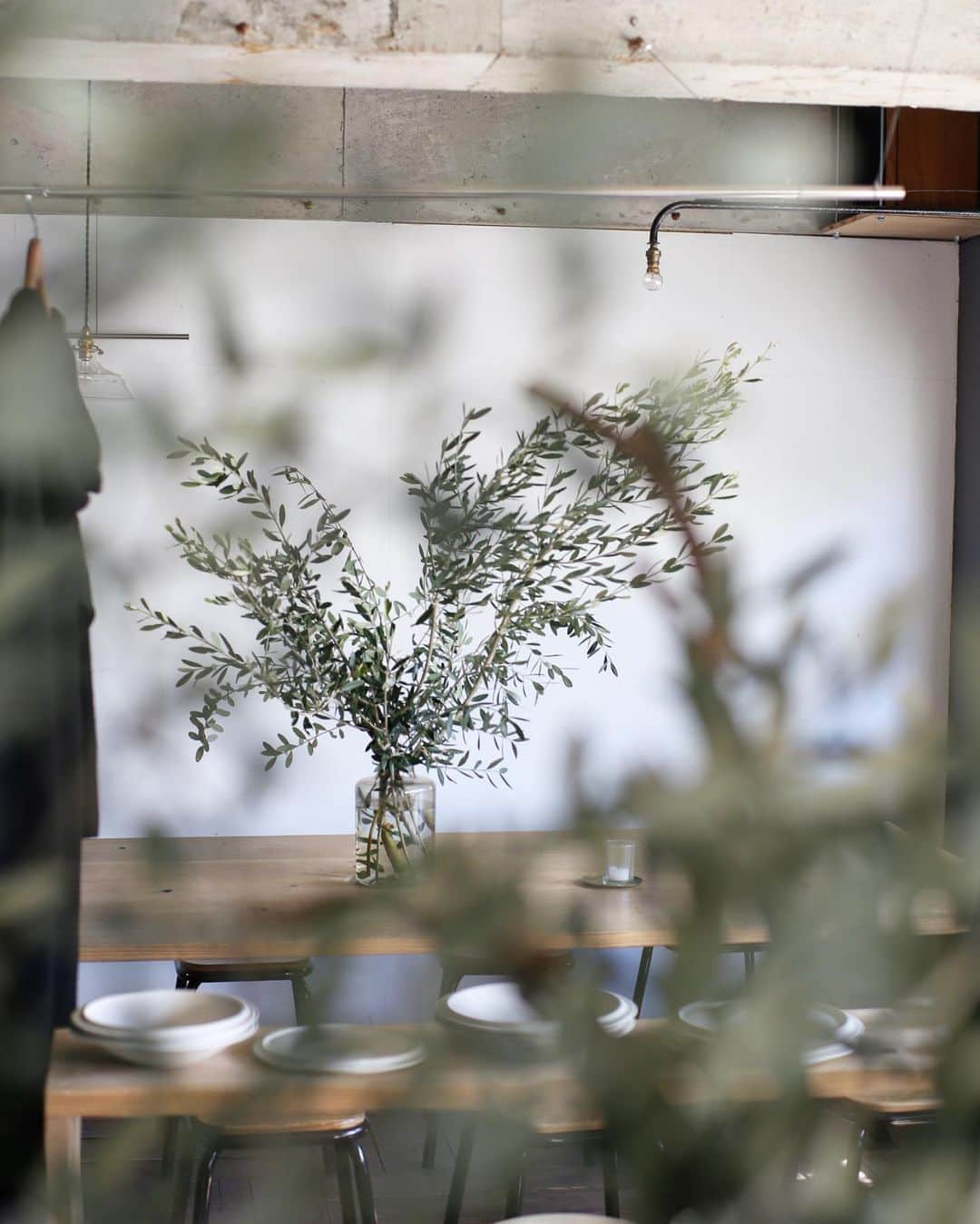 Tomohide Furuyaさんのインスタグラム写真 - (Tomohide FuruyaInstagram)「"Olive" . . 大量の立派なオリーブを頂きました。 . . 店内爽やかな朝です。 ありがとうございます！ . . #ポパイもビックリ #Olive #node_tasworks」3月16日 11時20分 - ikko_tasworksinc