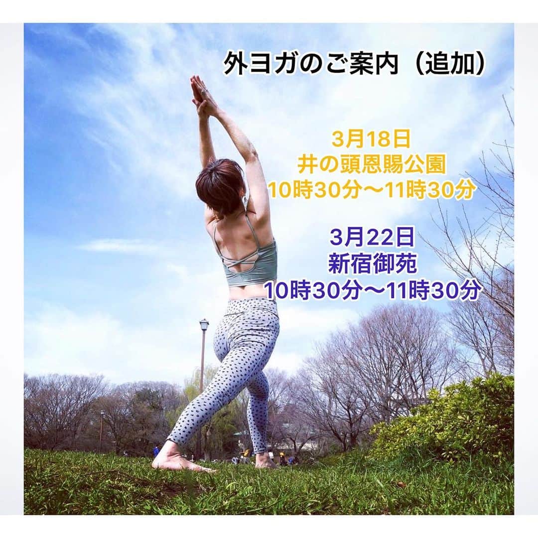 y1735kのインスタグラム：「ご好評につき外ヨガ（追加）ご案内です。 ・ 昨日の外ヨガは天候にも恵まれとっても気持ち良かったです✨上を見あげると高い空。下を見れば緑と土とてんとう虫🐞、、。子供に戻ったかのようにその空間を時間目一杯楽しめた気がします。 ・ 普段はちょっと怖いなぁと感じるポーズも楽しく出来ますね！ ・ ［ご案内］ 2020.3.18（水） 吉祥寺　井の頭恩賜公園  2020.3.22（日） 新宿御苑 ⚠️入場料500円が別途かかります。  両日とも10時30分〜11時30分 ・ お一人様　1000円 ・  初心者の方、ご夫婦、カップルで 親子で。 小学生以下のお子様無料。 小さなお子様、赤ちゃんも是非。 （妊娠中の方も🆗です。ただし、医師の許可を得た方、体調変化、管理にはご自身が責任を持って頂くことを条件と致します。） ・ 雨天中止 ・ 予約は不要としておりましたが、皆様の安全と人数把握のため　参加ご希望の方はDMにて一報下さいませ。その際に詳細場所をご連絡致します。 どうぞよろしくお願い致します。」