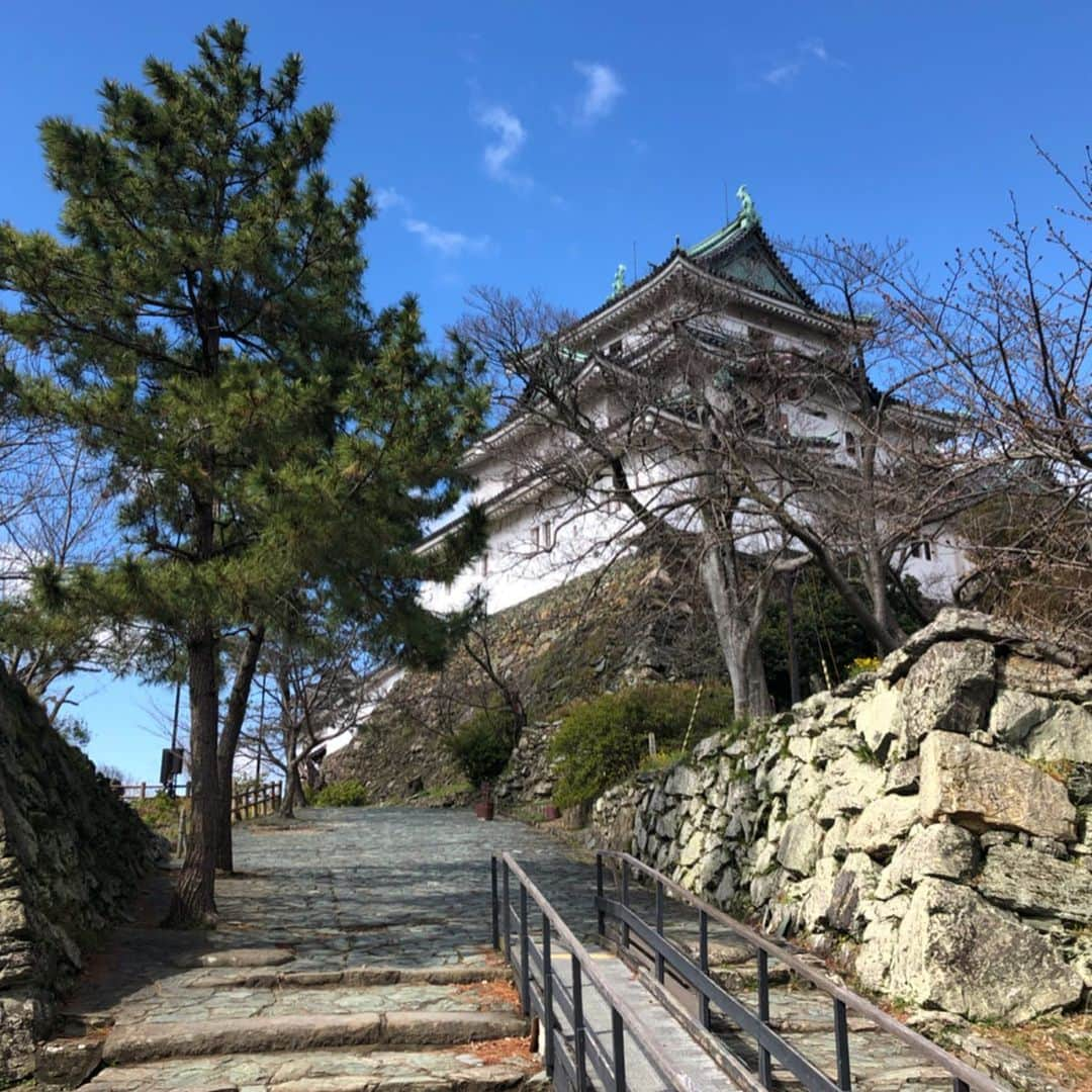 坂東新悟さんのインスタグラム写真 - (坂東新悟Instagram)「道成寺にこそつきにけり〜  っという訳で、正解は『道成寺』でしたーー！👏 めちゃくちゃバレとる笑 皆さんあれだけの情報ですごいですねー 熊野という声も多かったですね 勿論迷いましたがあの周辺は行きたいところが多いのでまたゆっくり時間をかけられる機会に伺いたいと思います👍 ちなみに縁起堂内には錚々たる顔ぶれの先輩方の写真が沢山あってなんだか緊張しました😓 午前中は和歌山城を見てきましたよ🏯  #道成寺 #和歌山城 #道成寺に入ってお参りをし #絵巻の語りを聞かっしゃれー」3月16日 21時10分 - bandou_shingo_official