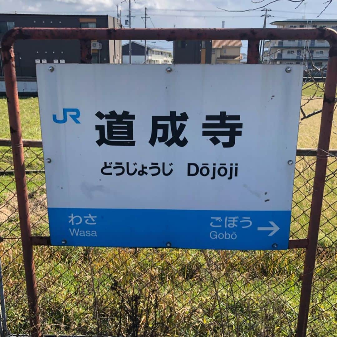 坂東新悟さんのインスタグラム写真 - (坂東新悟Instagram)「道成寺にこそつきにけり〜  っという訳で、正解は『道成寺』でしたーー！👏 めちゃくちゃバレとる笑 皆さんあれだけの情報ですごいですねー 熊野という声も多かったですね 勿論迷いましたがあの周辺は行きたいところが多いのでまたゆっくり時間をかけられる機会に伺いたいと思います👍 ちなみに縁起堂内には錚々たる顔ぶれの先輩方の写真が沢山あってなんだか緊張しました😓 午前中は和歌山城を見てきましたよ🏯  #道成寺 #和歌山城 #道成寺に入ってお参りをし #絵巻の語りを聞かっしゃれー」3月16日 21時10分 - bandou_shingo_official