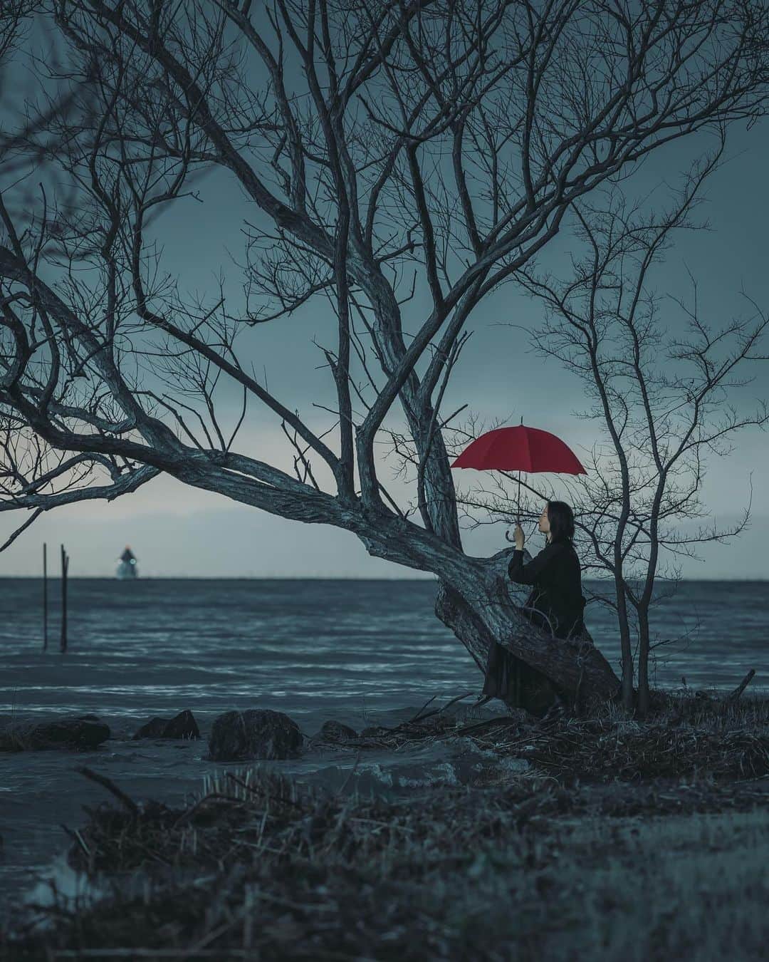 wacameraのインスタグラム：「ー Waiting for some… some… . Please take care yourself everyone. . . 昨日の激しかった撮影。何がって、30分で天国から地獄、気温もプラスからマイナス。顔面はドライからウェット。手は常温から冷凍。だけど、こんな素敵な　#さとちマニア　撮れちゃったからもう気分はお花畑。ただ座ってるかのように見えるけど、実は過酷な姿勢を強要したので、感謝しかありませぬ。さとち、ありがとう(*ˊᵕˋ*) 寒さで顔面が凍りつくのに笑って、豪風に泣いて、雨宿りするのに走っておもちゃ箱をひっくり返したようなテンションだったけど、毎日鬱屈な気分になるニュースばかり見てるより、私は笑って「生きていたい」と思った日。」