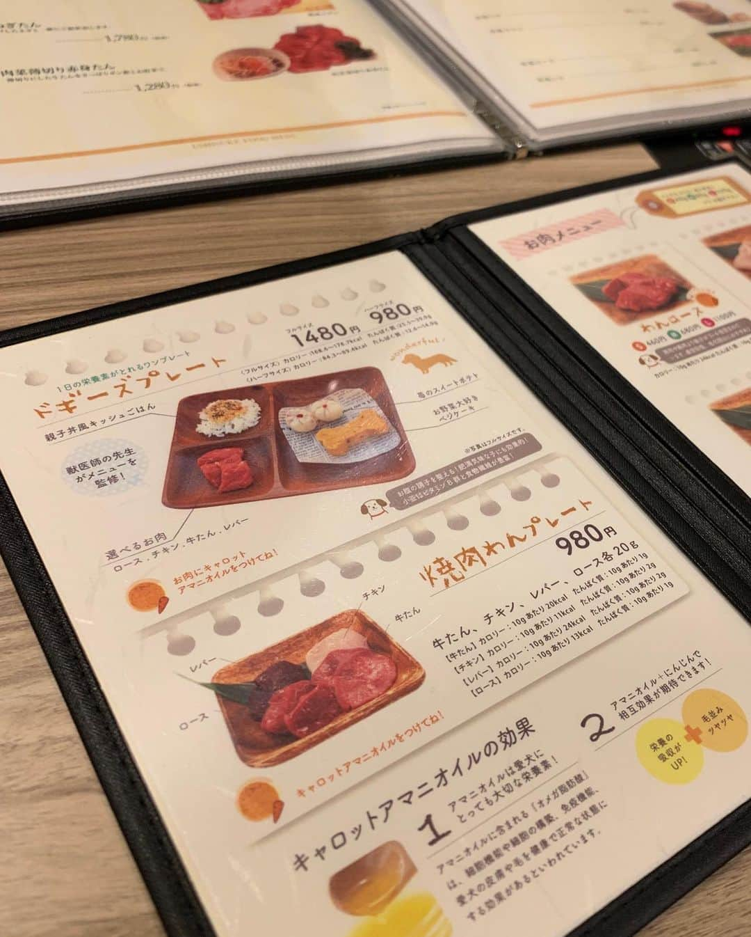 大山加奈さんのインスタグラム写真 - (大山加奈Instagram)「. . だいずくんはじめての焼肉。 . . とってもおいしそうに 食べてたね☺️💕 . . またいこうね😊‼︎ . .  #だいず #だいず🐕💓 #豆柴 #豆柴部  #柴犬 #しばいぬ  #犬のいる暮らし#🐶 #🐕#いぬすたぐらむ #ワンスタグラム #しばすたぐらむ #mameshiba#shibainu#shibastagram #柴犬好きさんと繋がりたい #柴犬のいる暮らし #柴犬ライフ #わんことおでかけ #わんこ同伴ok  #わんこと一緒 #うしすけ」3月16日 21時35分 - kanaoyama0619