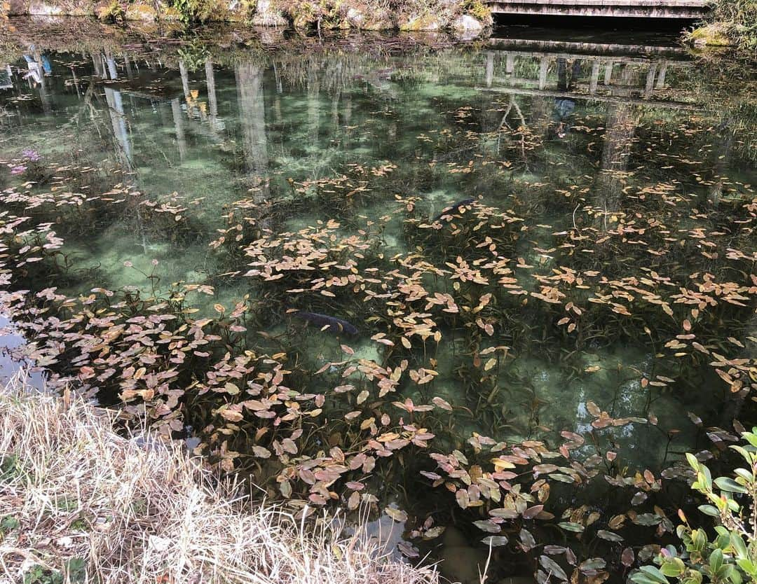 瑛茉ジャスミンさんのインスタグラム写真 - (瑛茉ジャスミンInstagram)「最近旅にハマっております。」3月16日 13時40分 - emmajasmine12345_x