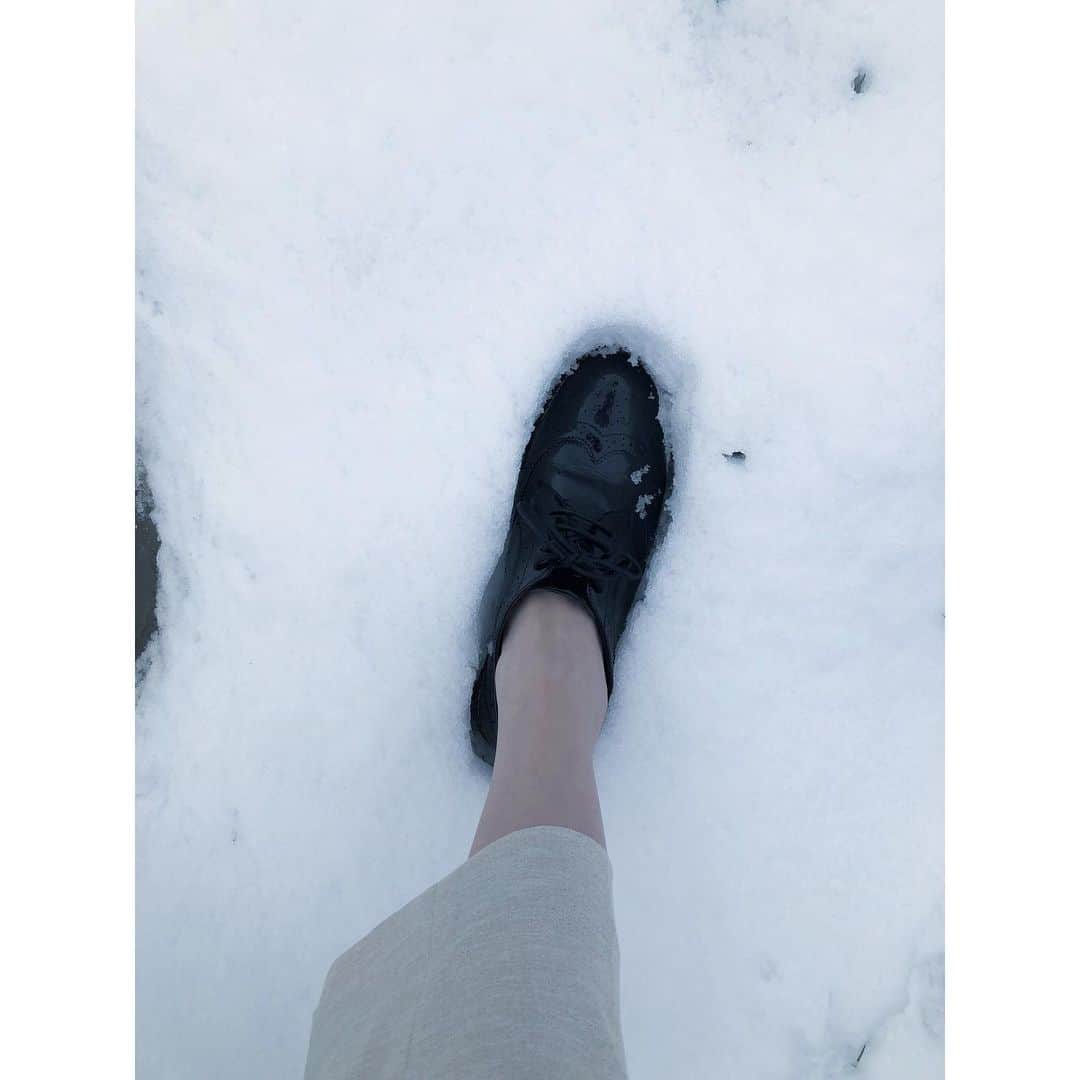 粕谷奈美さんのインスタグラム写真 - (粕谷奈美Instagram)「思いがけなく雪に遭遇☃️ 雪といえば、静岡では“風花(かざはな)”がありますが、風花って言っても他県の方はなかなか知らないことに最近驚きました❄️ #snow#☃️#風花」3月16日 14時11分 - nami_kasuya