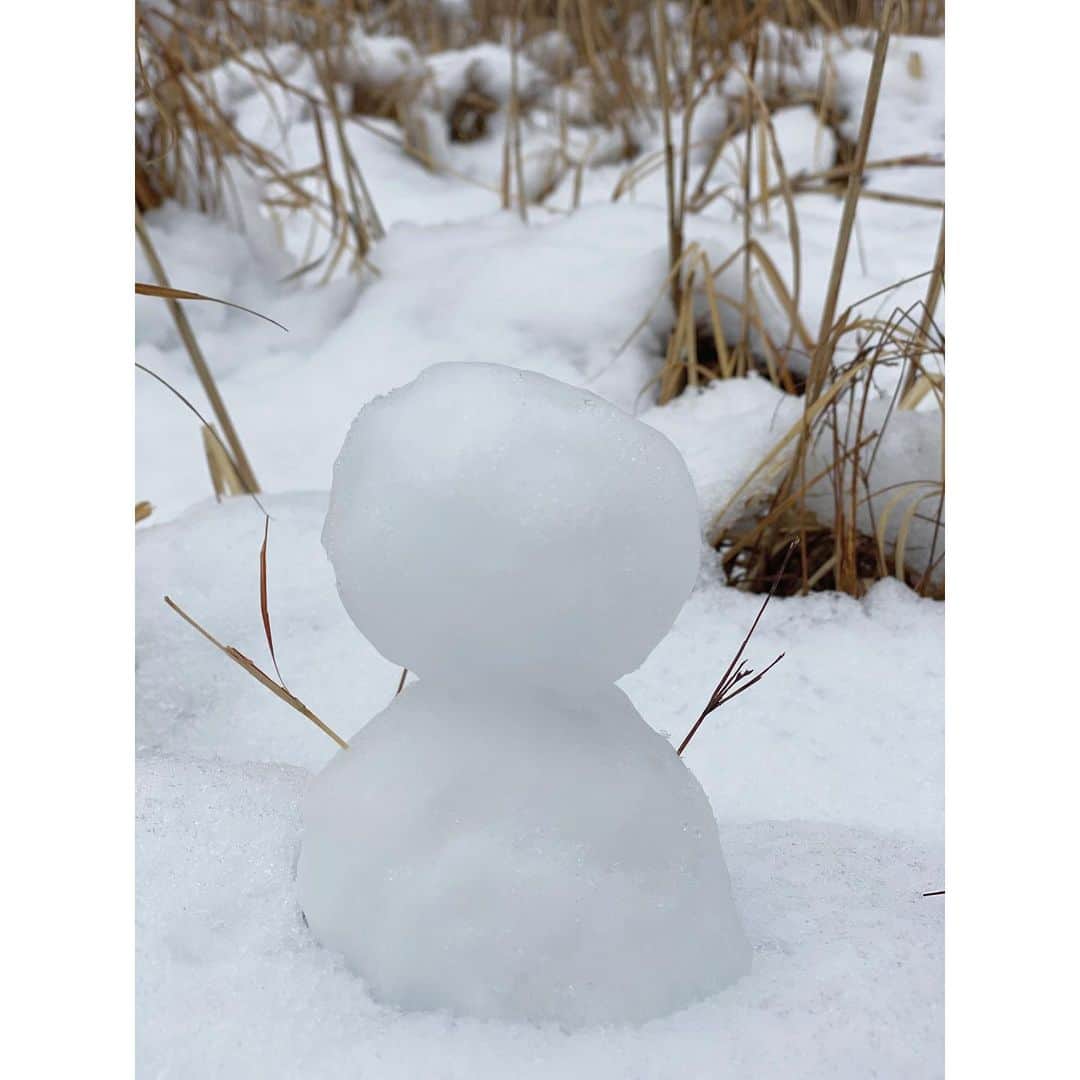 粕谷奈美さんのインスタグラム写真 - (粕谷奈美Instagram)「思いがけなく雪に遭遇☃️ 雪といえば、静岡では“風花(かざはな)”がありますが、風花って言っても他県の方はなかなか知らないことに最近驚きました❄️ #snow#☃️#風花」3月16日 14時11分 - nami_kasuya