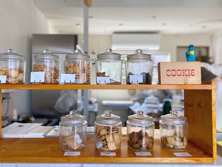 Rocoのグルメインスタ