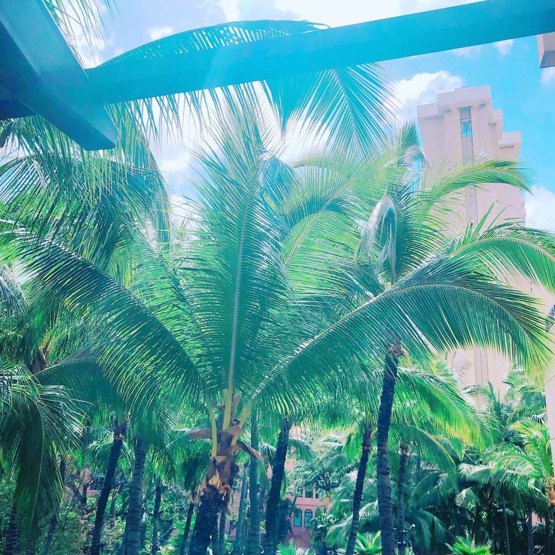 Arisa Nanaseさんのインスタグラム写真 - (Arisa NanaseInstagram)「look at your above. 上を見て。 ・ ・ ・ #近くのものほど気づかない　#灯台もと暮らし　#ハワイ　#パームツリー　#ちょっぴりハッピーになれる言葉 #hawaii #palmtree #motivationalquote」3月16日 14時57分 - arisa.nanase