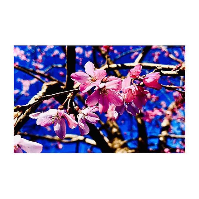 JUDAIのインスタグラム
