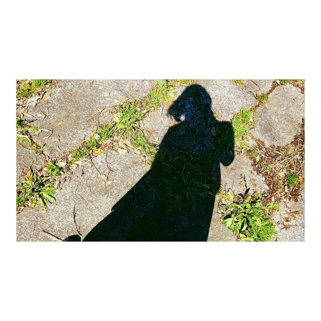 吉本実憂さんのインスタグラム写真 - (吉本実憂Instagram)「☀️ #sunny  #digitalphoto  晴れやかな気持ち。」3月16日 16時27分 - miyu_yoshimoto_official