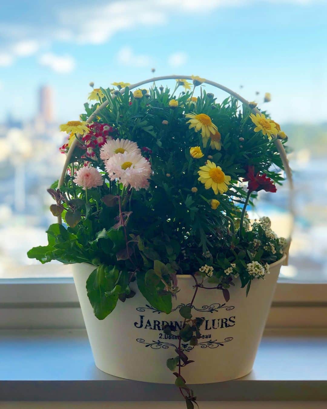 山口リサのインスタグラム：「パパと息子でお花を持って来てくれました💐なんとも感動🥺 … 私がいない間、男同士の時間を育んでいるんだけど、めちゃくちゃ成長している💕 … 息子たちにも、自分の大切な人にはお花を贈れる男になってもらいたいなぁ🎁帰ったらお庭で育てよう😍 … でもね、値段シール付いてたよ😂❤️」