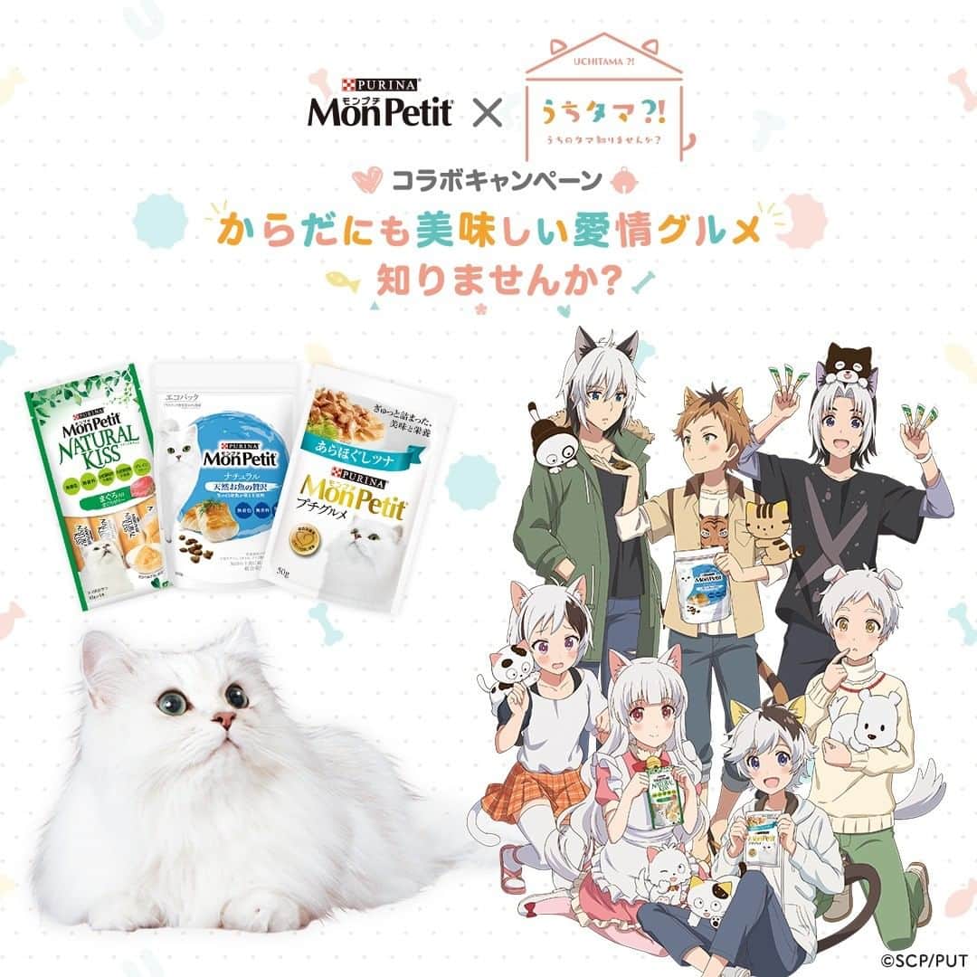 のインスタグラム：「＼ #モンプチ と #うちタマ?! ～うちのタマ知りませんか？～ コラボキャンペーン　からだにも美味しい愛情グルメ知りませんか？　開催中／  #QUOカード や素敵な #プレゼント が当たるキャンペーンやコラボ動画など #ネコ好き にはたまらない楽しい企画がいっぱい🐱  詳細をチェック☛ https://nestle.jp/brand/monpetit/campaign/uchitama/index.html」