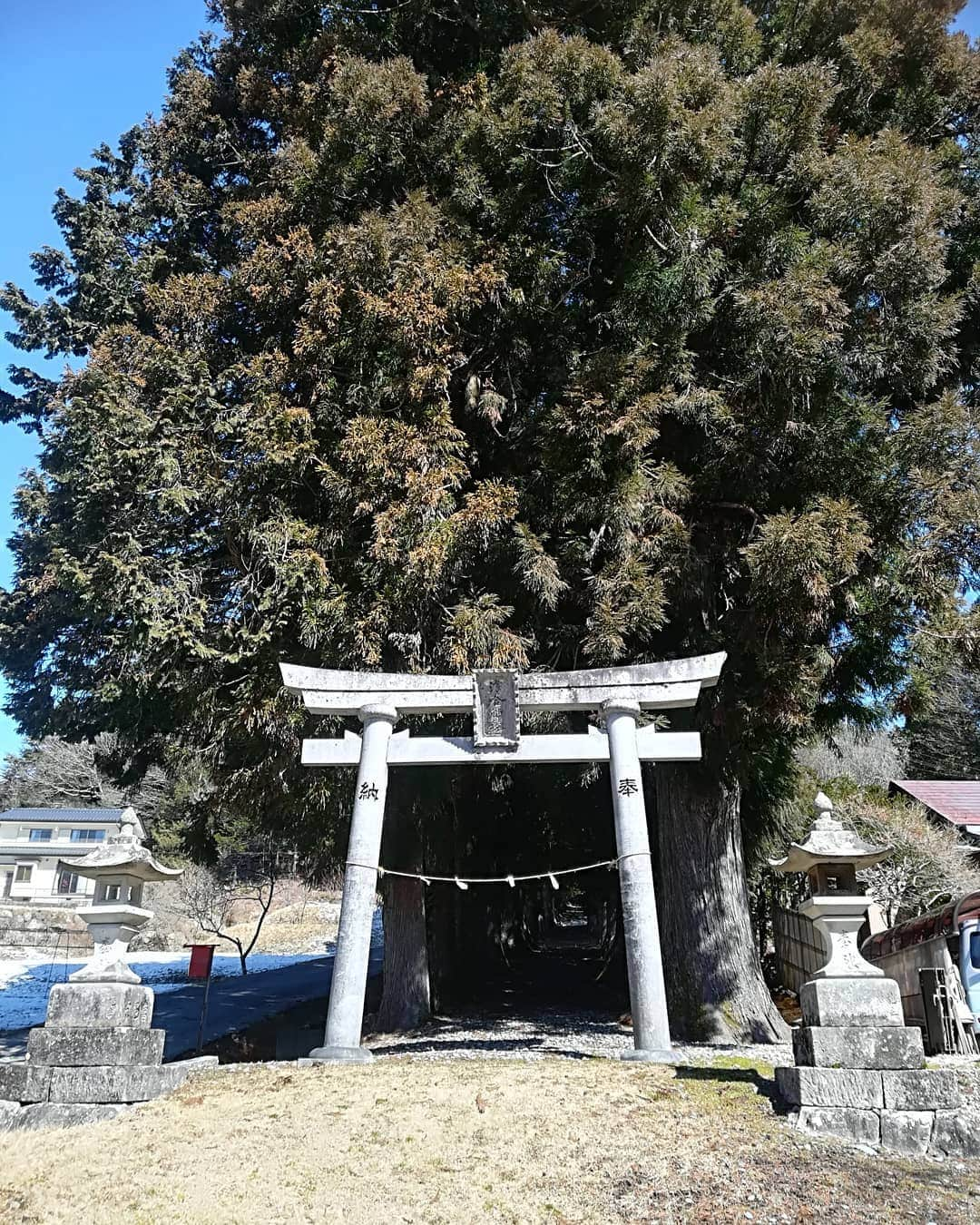 山名文和さんのインスタグラム写真 - (山名文和Instagram)「浪合パークで 星見て 次の日 浪合神社に ありがとう を 言いに行きました。  お蕎麦やさんで かき揚げセット頼んだら 投げてまいそうなサイズ 出てきました。  投げずに 食べました。  #長野県 #阿智村 #浪合パーク #浪合神社 #星に抱かれた次の日」3月16日 18時21分 - fumikazu_yamana