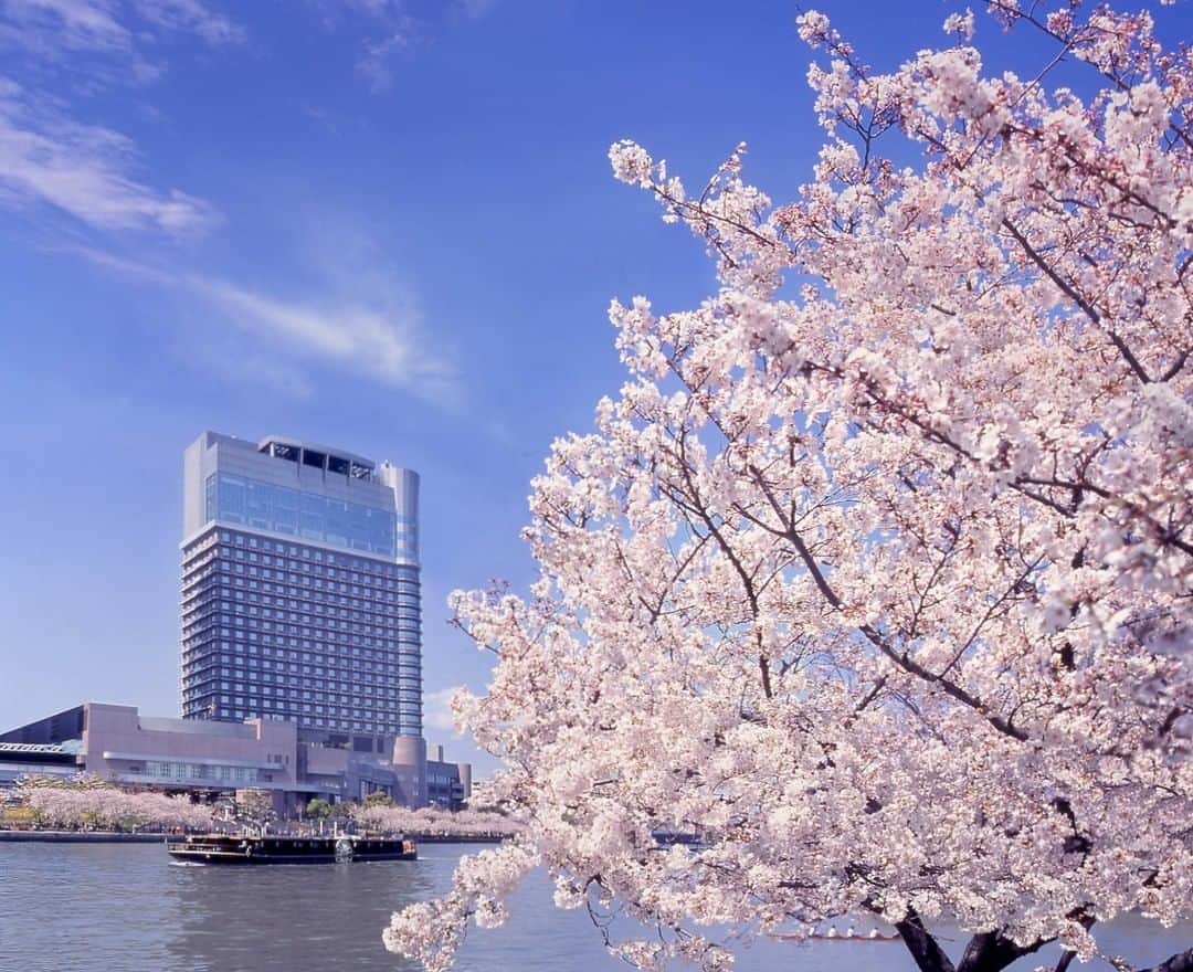 Relux | リラックスさんのインスタグラム写真 - (Relux | リラックスInstagram)「今週のテーマは「桜の見える宿」🌸 . 📍帝国ホテル 大阪 . 創業時より愛され続ける、インペリアルフレグランス桜の香りであなたをお迎えします。 帝国ホテルの文化と非日常感がくつろぎの時間をお約束します。 . #帝国ホテル大阪 #大阪府 #大阪旅行 #大阪観光 #帝国ホテル #桜の季節 #桜🌸 #春の訪れ  #国内旅行 #週末旅 #週末旅行 #大人の休日 #記念日旅行 #誕生日旅行 #温泉旅行 #旅館 #温泉旅館 #ホテル #ラグジュアリーホテル #リゾート #リゾートホテル #旅スタグラム #旅行好きな人と繋がりたい #unknownjapan #japantravelphoto」3月16日 19時30分 - relux_jp