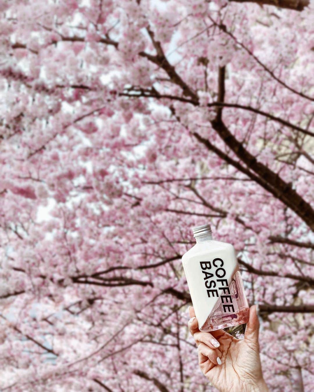 Yukicoのグルメインスタ