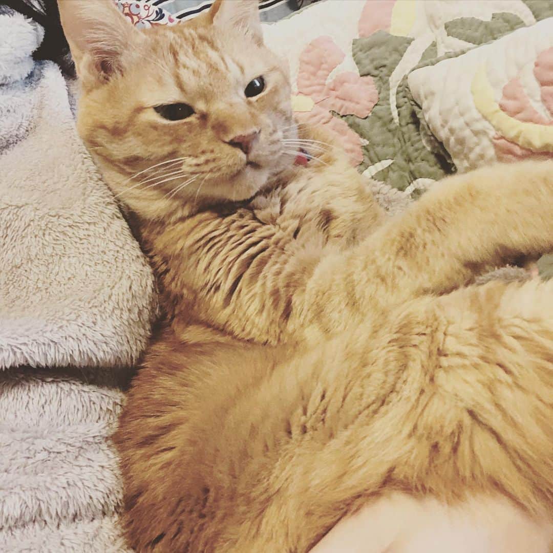 森永理科のインスタグラム