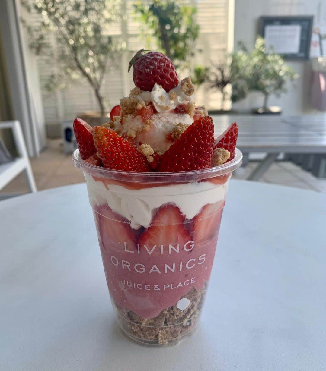 livingorganics juice&place 芦屋さんのインスタグラム写真 - (livingorganics juice&place 芦屋Instagram)「3/19（木）11:00〜 strawberry豆乳レアチーズparfaitがSTART致します。  豆乳からできたレアチーズとマスカルポーネを使用し、ヘルシーでとても美味しい自家製レアチーズになっております。  自家製のクランブルをトッピングすることにより、レアチーズタルトを食べているようになるよう、仕上げました。 イチゴとの相性が抜群です。  個人的にすごく好きなので皆様に食べて頂きたいです。  スタッフ一同、皆様のご来店心よりお待ちしております。  #strawberryparfait#いちごパフェ#いちごparfait#紅ほっぺ#豆乳ホイップ#締めパフェ#ご褒美パフェ#livingorganics#livingorganic#cafe#coldpressedjuice#healthyfood#coffee#arabicacoffee#foodphotography#smoothie#yoga#神戸カフェ#sweets#芦屋カフェ」3月16日 19時48分 - livingorganics_ashiya