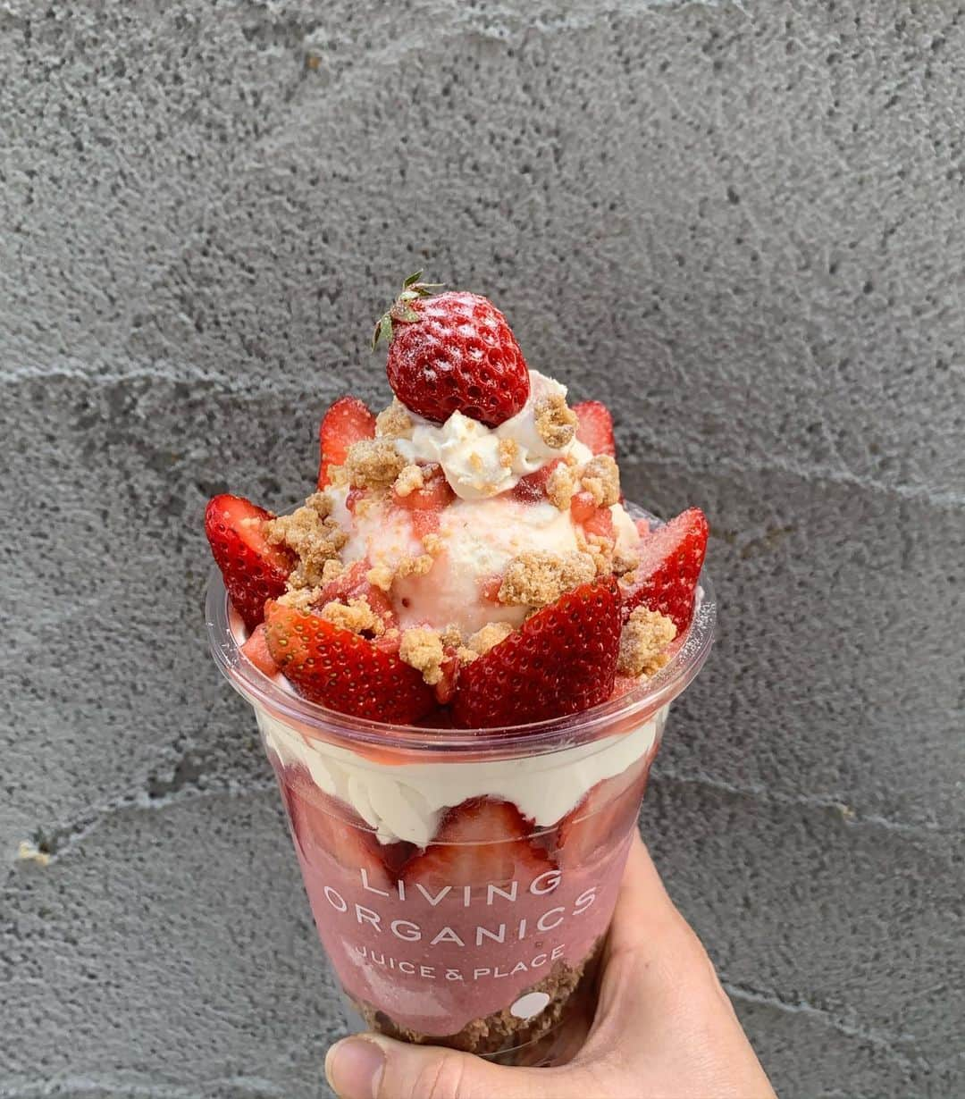 livingorganics juice&place 芦屋さんのインスタグラム写真 - (livingorganics juice&place 芦屋Instagram)「3/19（木）11:00〜 strawberry豆乳レアチーズparfaitがSTART致します。  豆乳からできたレアチーズとマスカルポーネを使用し、ヘルシーでとても美味しい自家製レアチーズになっております。  自家製のクランブルをトッピングすることにより、レアチーズタルトを食べているようになるよう、仕上げました。 イチゴとの相性が抜群です。  個人的にすごく好きなので皆様に食べて頂きたいです。  スタッフ一同、皆様のご来店心よりお待ちしております。  #strawberryparfait#いちごパフェ#いちごparfait#紅ほっぺ#豆乳ホイップ#締めパフェ#ご褒美パフェ#livingorganics#livingorganic#cafe#coldpressedjuice#healthyfood#coffee#arabicacoffee#foodphotography#smoothie#yoga#神戸カフェ#sweets#芦屋カフェ」3月16日 19時48分 - livingorganics_ashiya