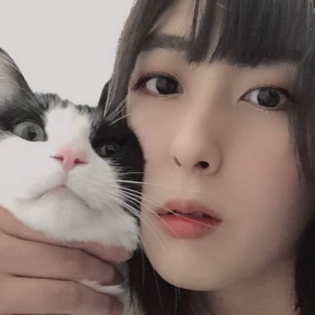 桐生真弥のインスタグラム：「#🐈」