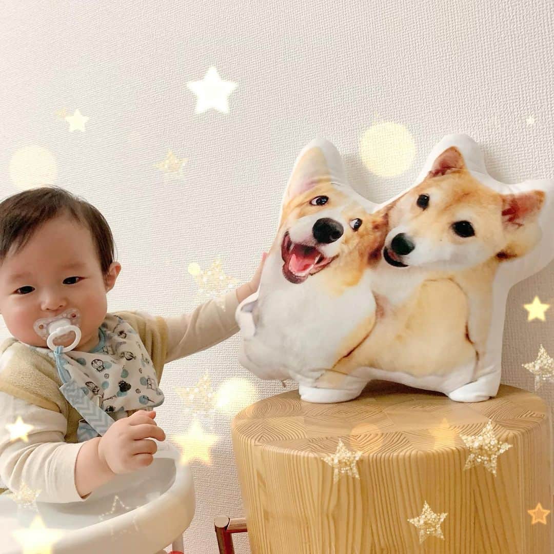 のインスタグラム：「ぼく これすきー👶💕 だそうです　@aisdelu.japan で作ってもらった @taiyakitantan のクッション  たんたんは興味津々で噛んでボロボロにするから、息子ちゃんのベビー ベッドに置いてあります💕ぎゅーするよ  息子のクッションも作って欲しい😂 今10%オフクーポンあります！ 【ig10off】 🐶🦊🐱🐮 ほんとかわいい  #10ヶ月　 #赤ちゃん　#赤ちゃんと犬 #baby #babyanddog  #dogs #puppy #puppies #corgi #shiba #しばいぬ #まめしば　#豆柴　#こーぎー　#コーギー  #코기 #オーダーメイド #Aisdelu #aisdeluクッション #アイシテル #愛してる #ペットクッション #オリジナルクッション #ペットオーダークッション #うちの子グッズ」