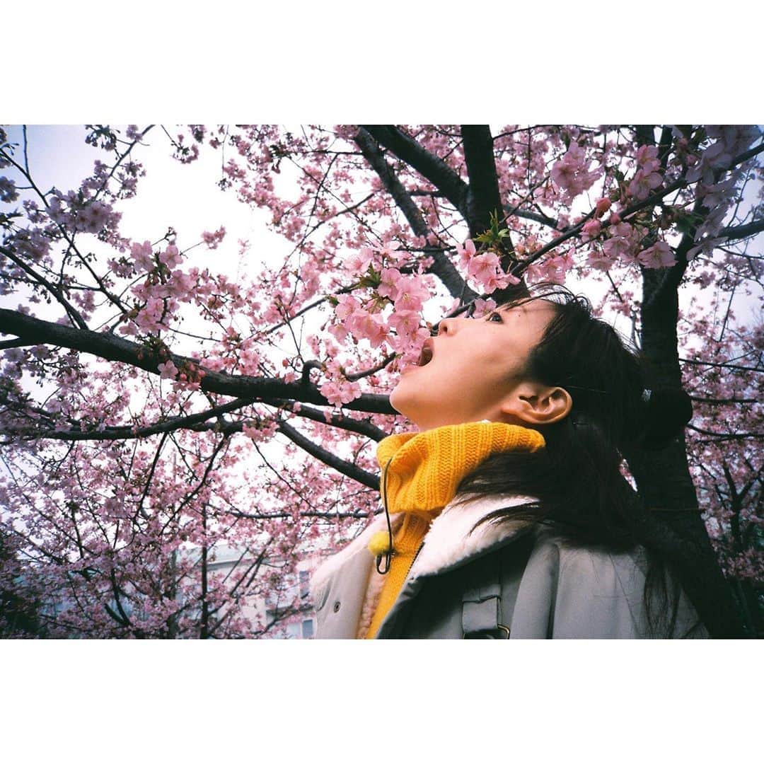 のインスタグラム：「#パン旅。新シリーズ 明日から始まります🌸  第一回目は、広尾・恵比寿のパン屋さん。 ゲストは美山加恋ちゃんです。  夜7時からNHKBSプレミアムにて 明日から4日連続！ みてねー  #filmphotography」