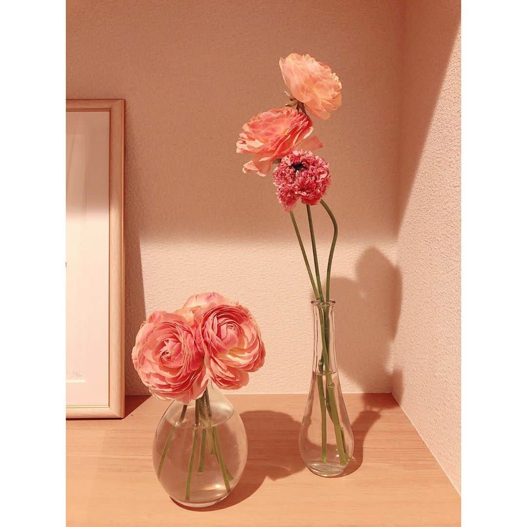 永井友梨さんのインスタグラム写真 - (永井友梨Instagram)「生け方はおいといて お花って癒されるし元気が出ますね🥰 久しぶりに飾ってみました💐 花のある暮らし、いいな💓 春の宮崎はいろんな場所でお花がとても綺麗で好きです。  #ラナンキュラス #あまてらすラナンキュラス #花いっぱいプロジェクト #影が気になる #どうしようもなかった」3月16日 20時52分 - nagai_y_r