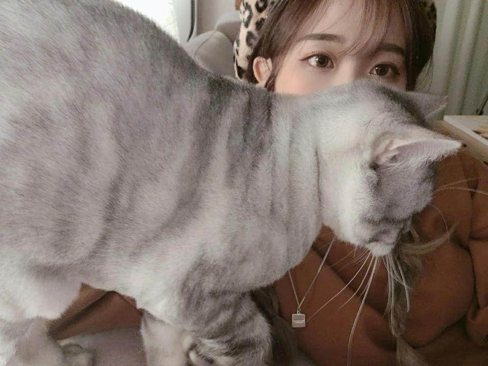 パク・ヘソンさんのインスタグラム写真 - (パク・ヘソンInstagram)「진짜 셀카찍는데 핵 방해하는 컷들... 😻」3月16日 21時00分 - hyesunee