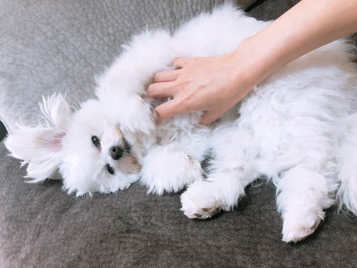 野木久美子のインスタグラム