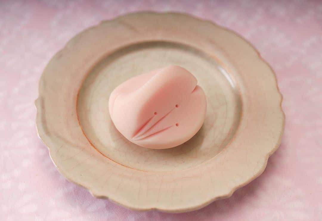Toru Tsuchieさんのインスタグラム写真 - (Toru TsuchieInstagram)「今日の和菓子はねりきりで作った巴桜です。 ねりきりとは白餡に餅や芋を混ぜて作った和菓子で 茶道 で使われる「主菓子」の一種です。 撮影 用に製作しました。 この前の巴桜とは少し違います。 コロナもえらいこっちゃですが経済もえらいこっちゃです。 早く収束して欲しいものです。 フェイスブックページのいいね！もよろしくお願いします。 https://www.facebook.com/shishisu/ I would like a job request from you. Today's wagashi is Cherry blossom with Nerikiri. The Nerikiri is the material of wagashi made by mixing the rice cake and yam in white bean. Is a kind of "Jounamagashi" as used in the tea ceremony. The sweets I've made for the shooting.#福泉堂  #和菓子  #日本文化 #funny #my_eos_photo #和菓子好き #楽しい時間 #カメラ好きな人と繋がりたい  #写真好きな人と繋がりたい　 #model #春 #kawaii🌸 #Japan #wagashi  #happy #japanesefood #ファインダー越しの世界 #جميل #かわいい💕 #撮影 #happy #Mignon #スイーツ男子 #일본디저트  #cute #เค้ก #sweets #десерты #Délicieux」3月17日 6時52分 - choppe_tt