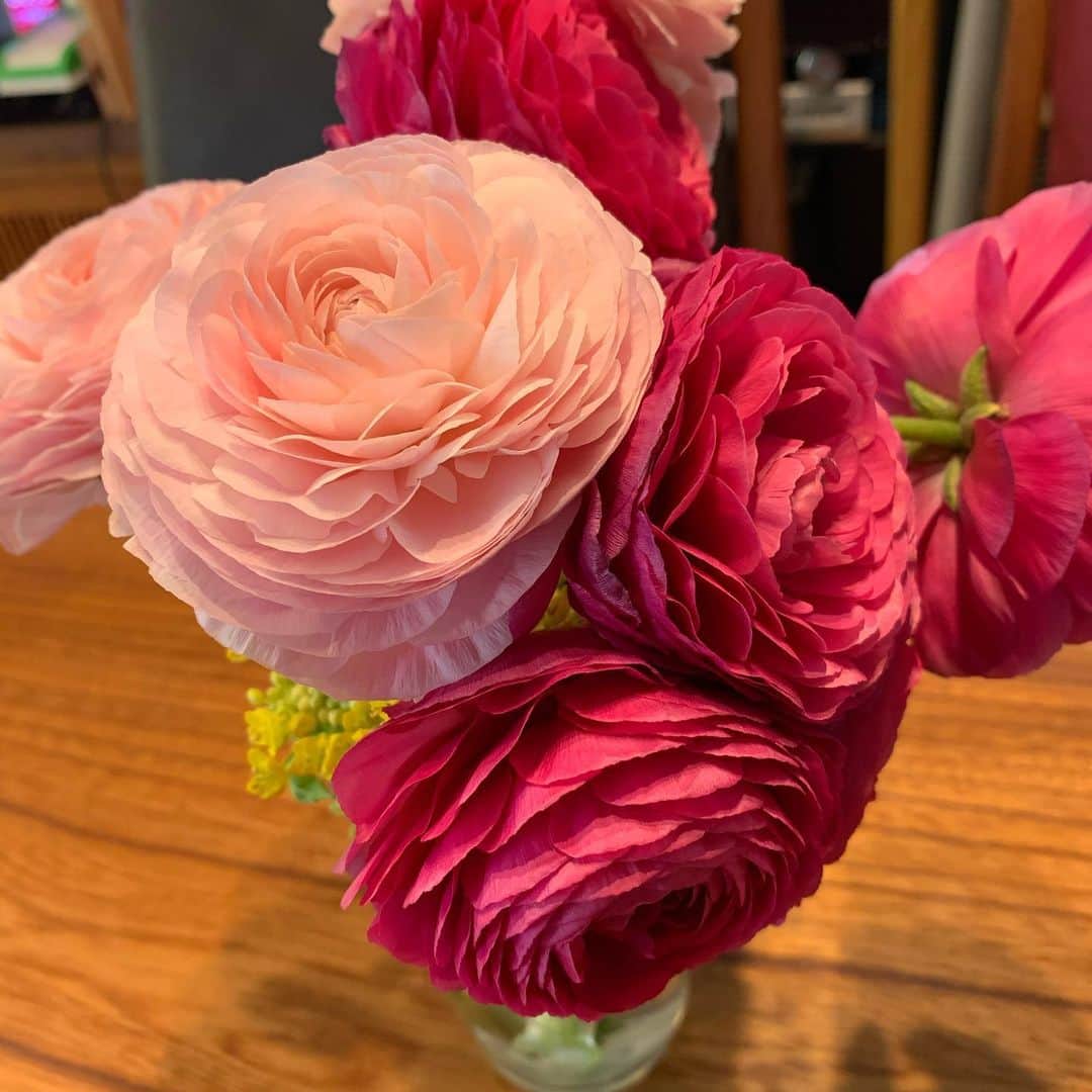 上田倫子のインスタグラム：「新作配信記念にお花買いました🌸 美しいものを見ると心が潤いますね。  いまお花屋さんも大変なようなのでお花買うようにしてます。」