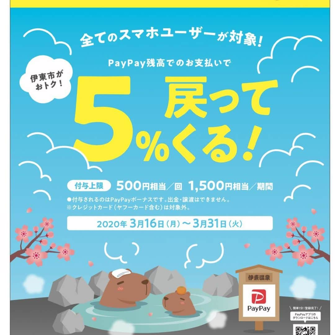 伊東市公式アカウントさんのインスタグラム写真 - (伊東市公式アカウントInstagram)「本日よりPayPayキャンペーンが始まりました！ 伊東市内対象店舗でお買い物すると、5%戻ってくるお得なキャンペーンです！ 伊東に泊まって、買い物して得しちゃおう♫  詳しくは、PayPayキャンペーンページをご確認下さい！  #伊東100アソビ #伊東市 #伊東 #伊東温泉 #伊東で買い物 #伊東でpaypayが使えるお店　#paypay使えます #paypayキャンペーン #いいね伊豆 #伊豆旅行 #伊豆グルメ #伊豆 #伊豆で #お買い物 #旅行 #旅 #旅行好きな人と繋がりたい #温泉旅行 #温泉 #温泉女子 #温泉旅館 #paypayが使えるお店 #relaxjourneyito #お土産 #お土産🎁 #お得な情報 #お得なキャンペーン」3月16日 23時01分 - itouji_official