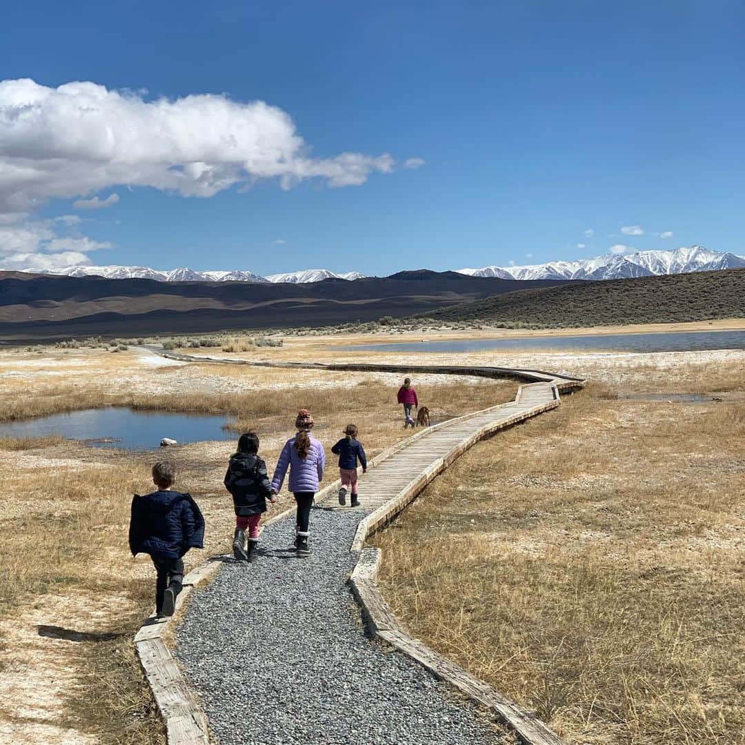 サーフバザーのインスタグラム：「Staying in nature with close friends」