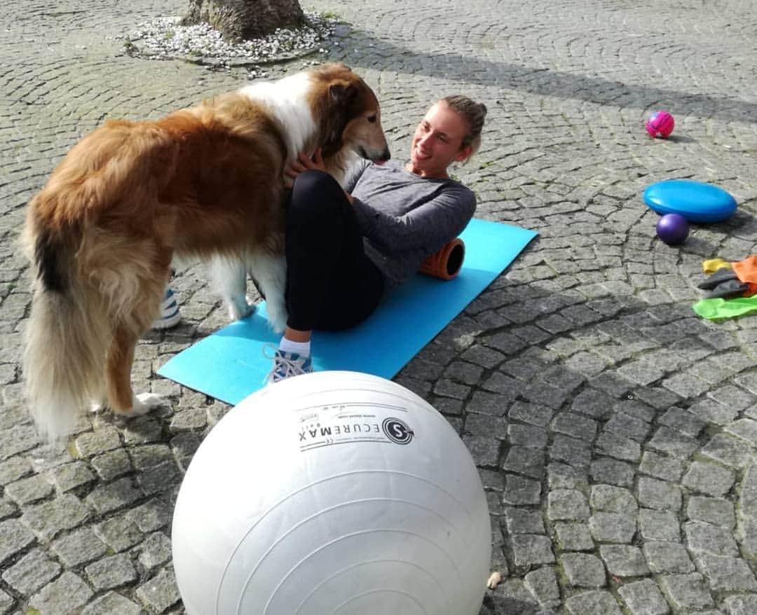 エリーゼ・メルテンスさんのインスタグラム写真 - (エリーゼ・メルテンスInstagram)「Me: Buddy I want to do some fitness 🏋️ 🐶: Yeah okay but pet me first  #fitnessathome #buddy #doglover」3月16日 23時08分 - mertenselise