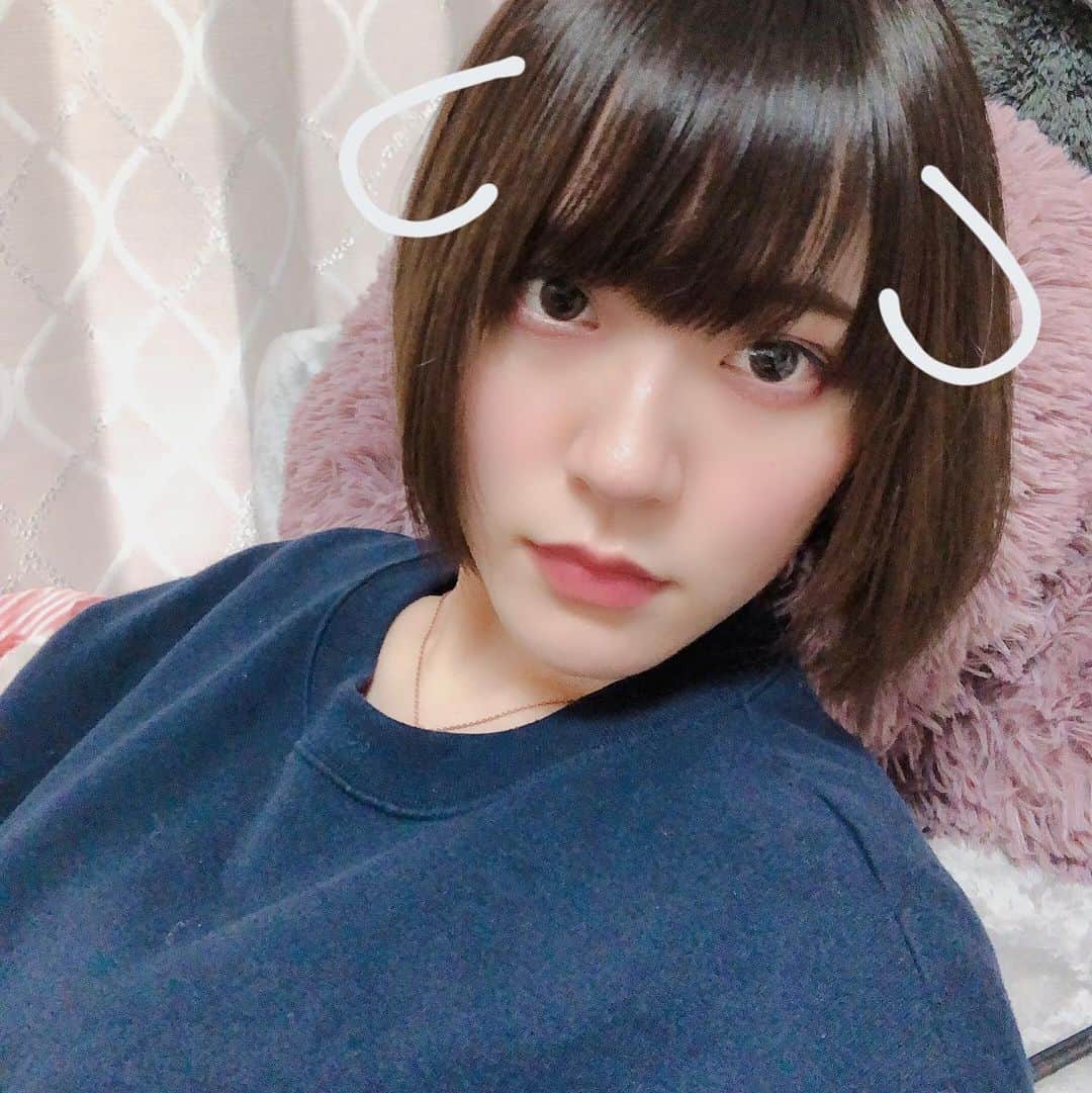 ぽむぽむユウリのインスタグラム：「髪の毛を、切ったんだよと仰っています。」