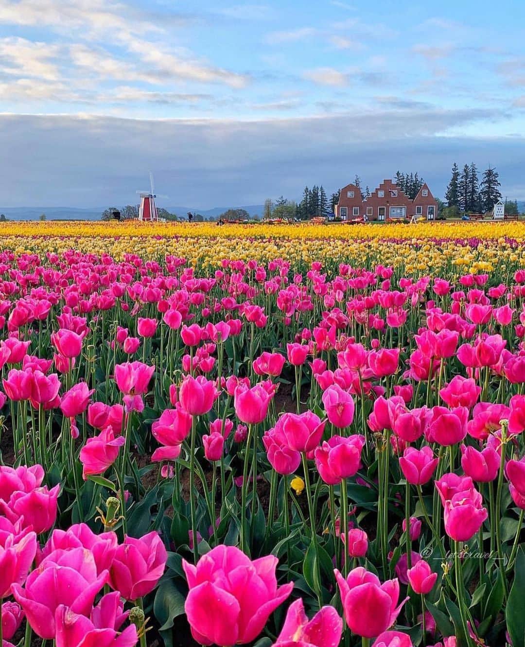 Wonderful Placesさんのインスタグラム写真 - (Wonderful PlacesInstagram)「Spring in Oregon ✨🌷🌷🌷✨ . Pictures by ✨✨@_letstravel_✨✨ #wonderful_places for a feature 💖🌷」3月17日 0時15分 - wonderful_places
