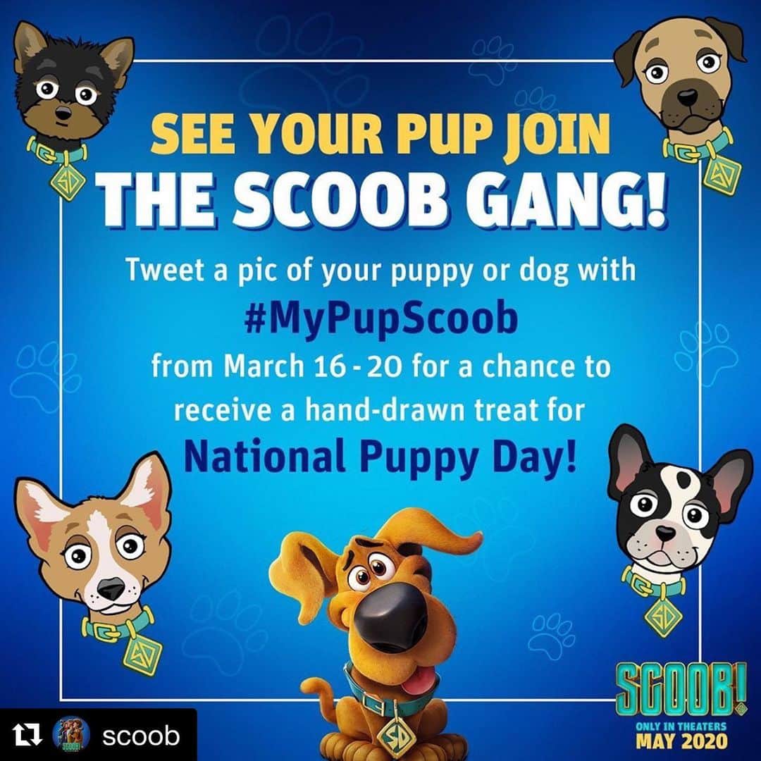 アマンダ・サイフリッドさんのインスタグラム写真 - (アマンダ・サイフリッドInstagram)「#Repost @scoob ・・・ Join the gang and send us a photo of your pup on Twitter @scoob using hashtag #MyPupScoob for a chance to receive a custom digital illustration of your best fur-iend!」3月17日 2時41分 - mingey