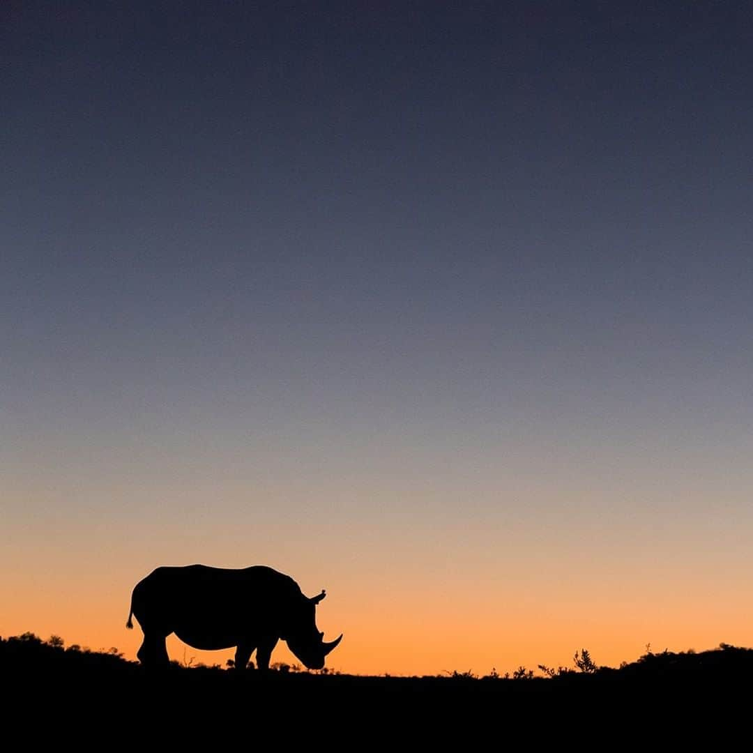 National Geographic Travelのインスタグラム