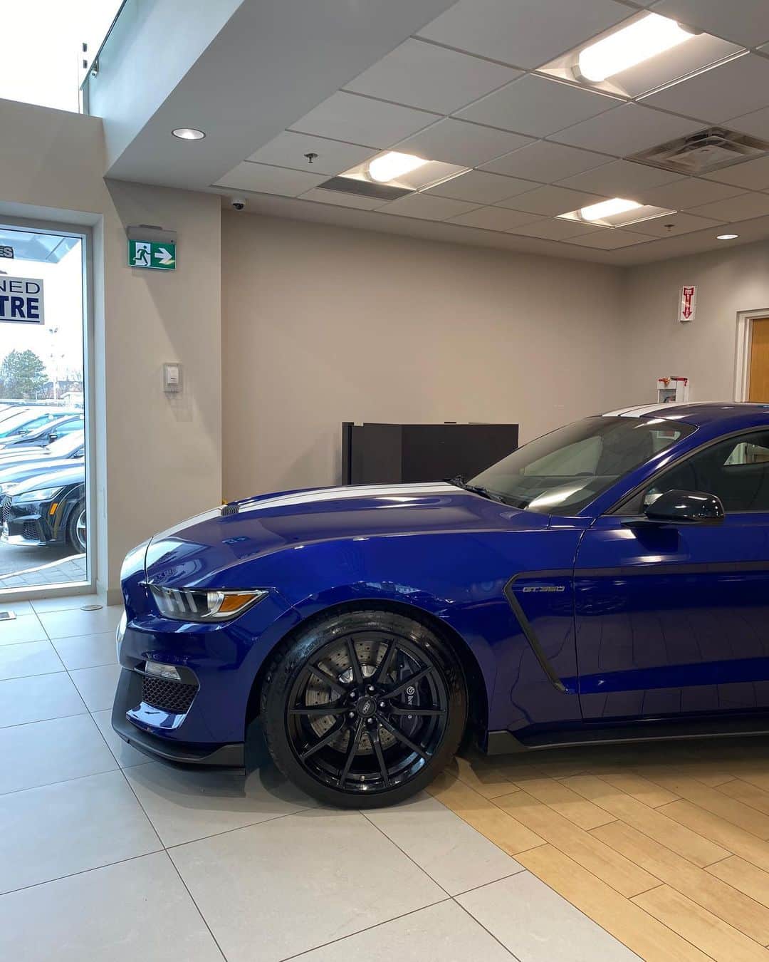 CarsWithoutLimitsさんのインスタグラム写真 - (CarsWithoutLimitsInstagram)「2016 Mustang GT350 Track package • 880KM • $61,888 CAD Contact @roy.cwl for more info  #carswithoutlimits #gt350」3月17日 6時03分 - carswithoutlimits