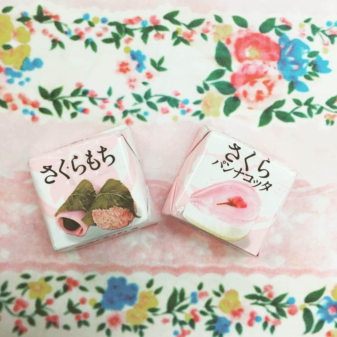 関西girl's style exp.のインスタグラム：「カメラマンさんから頂いたチロルチョコが 美味しい&かわいい🌸💓 もう春のお菓子がでているんですね😳 寒いけどほっこり…❣ 週末は一段と冷えるみたいですので、 皆さん風邪には気をつけてくださいね😷❄️ #さくら味 #🌸 #さくらもち味 #さくらパンナコッタ味 #チロルチョコ #お菓子タイム 」