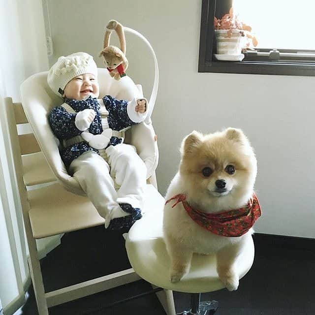Stokke Japanのインスタグラム