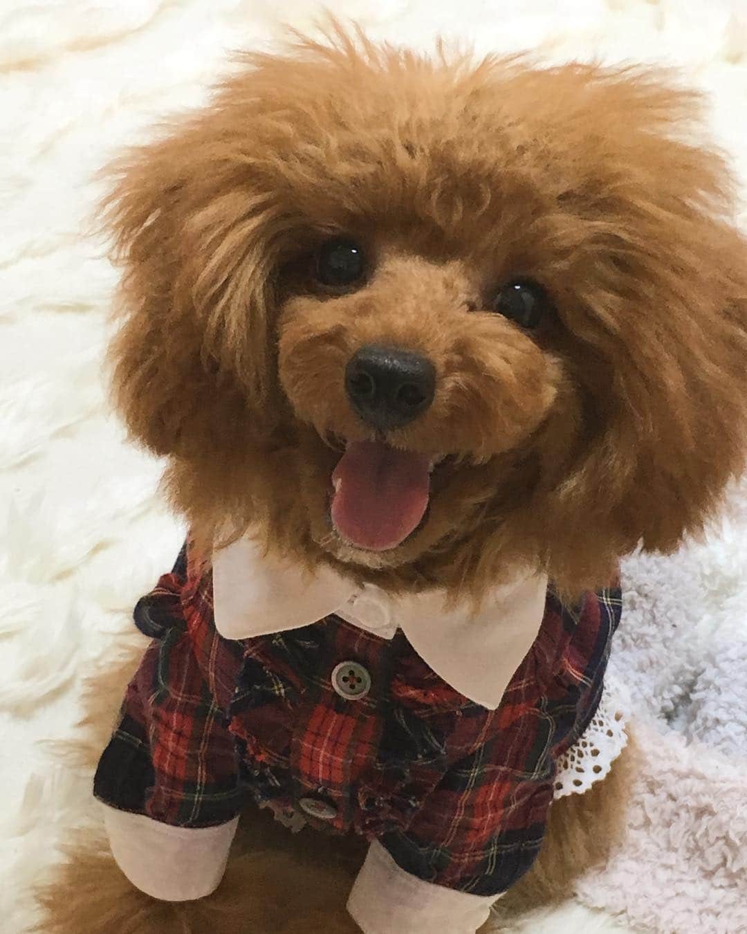 米本紗弥香のインスタグラム