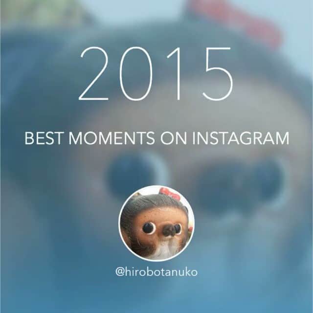 たぬこのインスタグラム：「My 2015 Best Moments on Instagram! Thank you for your support! #bestof2015 #bestmoments #instrack by @instrackapp」
