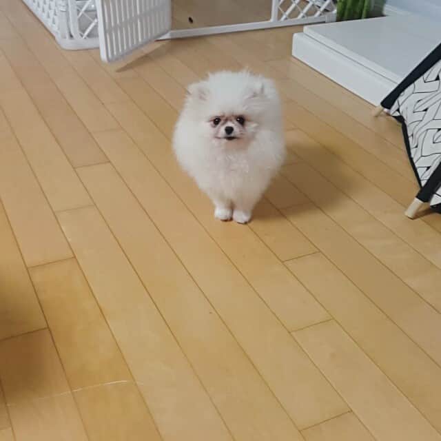 thesoy_yoonsoのインスタグラム