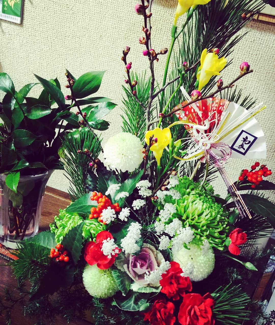 本郷理華のインスタグラム：「あけましておめでとうございます！！！！ 2015年は大変お世話になりました。たくさんの応援ありがとうございましたm(__)m 2016年もよろしくお願いします！！ #年に一度の仙台 #happynewyear #2016」